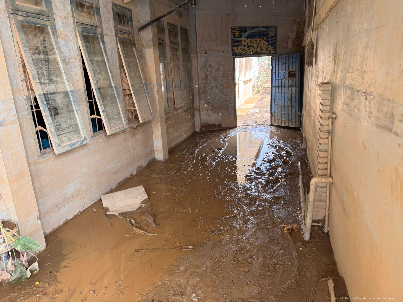 WhatsApp Image 2026 01 21 at 22.35.09 1