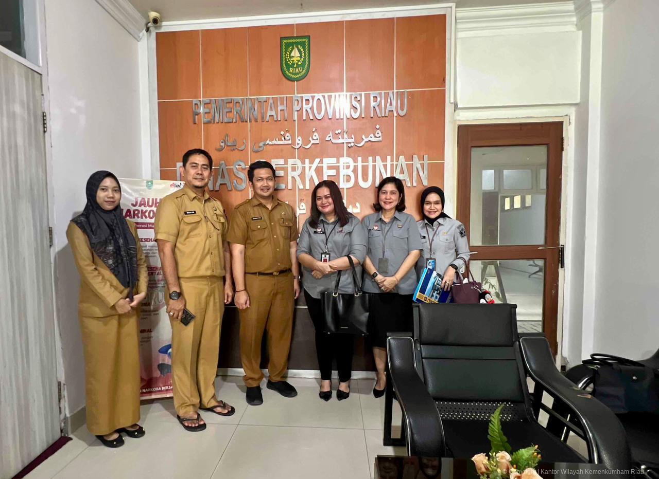 WhatsApp Image 2026 02 03 at 16.50.42